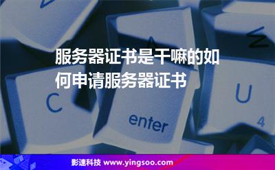服務器證書是干嘛的?如何申請服務器證書?