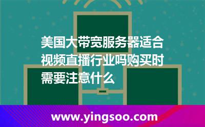 美國大帶寬服務器適合視頻直播行業(yè)嗎購買時需要注意什么