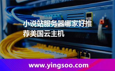 小說站服務(wù)器哪家好推薦美國(guó)云主機(jī)