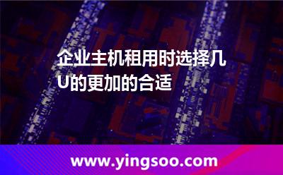 服務(wù)器企業(yè)_企業(yè)主機(jī)租用時(shí)選擇幾U的更加的合適 服務(wù)器企業(yè)
