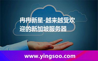 冉冉新星-越來越受歡迎的新加坡服務(wù)器