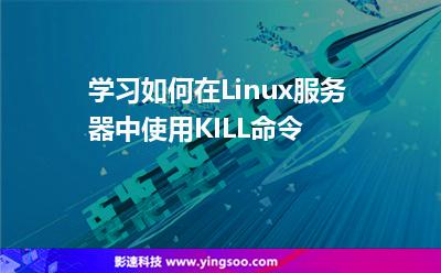 學(xué)習(xí)如何在Linux服務(wù)器中使用KILL命令