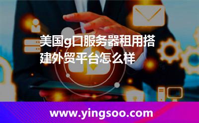 美國g口服務(wù)器租用搭建外貿(mào)平臺怎么樣 美國g口服務(wù)器租用搭建外貿(mào)平臺怎么樣