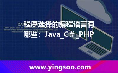 解決方法計(jì)算機(jī)語(yǔ)言_程序選擇的編程語(yǔ)言有哪些:Java_C#_PHP  解決方法計(jì)算機(jī)語(yǔ)言