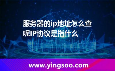 服務(wù)器的ip地址怎么查呢IP協(xié)議是指什么 服務(wù)器的ip地址怎么查呢IP協(xié)議是指什么