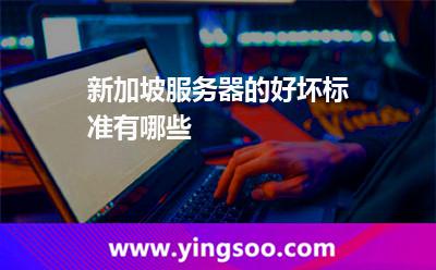 新加坡服務(wù)器的好壞標(biāo)準(zhǔn)有哪些 新加坡服務(wù)器的好壞標(biāo)準(zhǔn)有哪些
