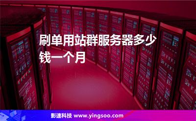 服務器美國:刷單用站群服務器多少錢一個月 服務器美國