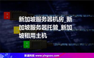 新加坡帶寬_新加坡服務(wù)器機(jī)房_新加坡服務(wù)器托管_新加坡租用主機(jī) 新加坡帶寬