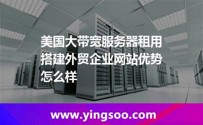 美國大帶寬服務(wù)器租用搭建外貿(mào)企業(yè)網(wǎng)站優(yōu)勢怎么樣 美國大帶寬服務(wù)器租用搭建外貿(mào)企業(yè)網(wǎng)站優(yōu)勢怎么樣
