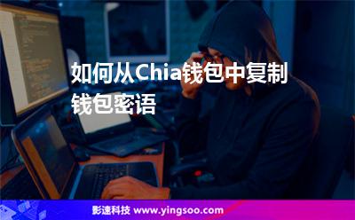 錢夾錢包_如何從Chia錢包中復制錢包密語  錢夾錢包