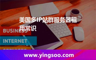 美國多IP站群服務(wù)器租用常識