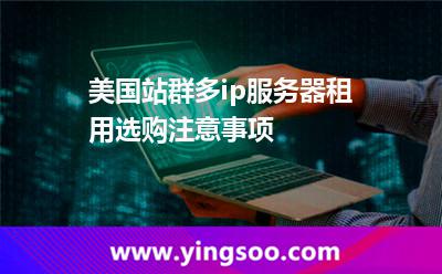 美國站群多ip服務(wù)器租用選購注意事項