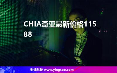 硬盤挖礦_CHIA奇亞最新價格115_88  硬盤挖礦