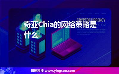 的是金融機(jī)構(gòu):奇亞Chia的網(wǎng)絡(luò)策略是什么 的是金融機(jī)構(gòu)