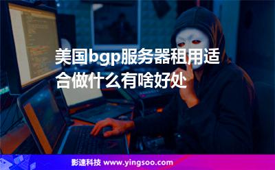 美國bgp服務器租用適合做什么有啥好處 美國bgp服務器租用適合做什么有啥好處