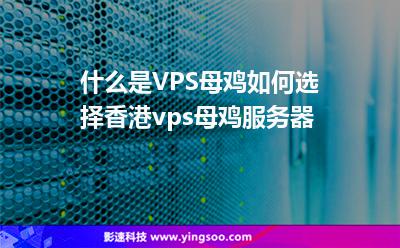 什么是VPS母雞如何選擇香港vps母雞服務(wù)器