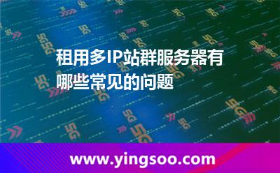 租用多IP站群服務(wù)器有哪些常見的問題 租用多IP站群服務(wù)器有哪些常見的問題