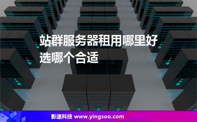 站群服務器租用哪里好選哪個合適 站群服務器租用哪里好選哪個合適