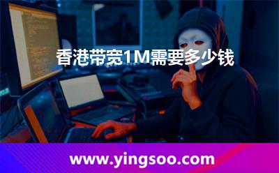 香港帶寬1M需要多少錢