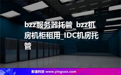 bzz服務(wù)器托管_bzz機房機柜租用_IDC機房托管 bzz服務(wù)器托管_bzz機房機柜租用_IDC機房托管