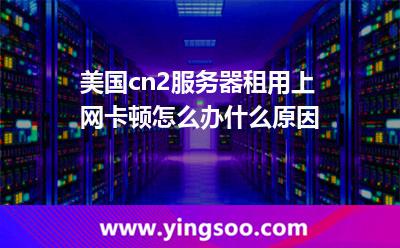 美國cn2服務器租用上網卡頓怎么辦什么原因 美國cn2服務器租用上網卡頓怎么辦什么原因
