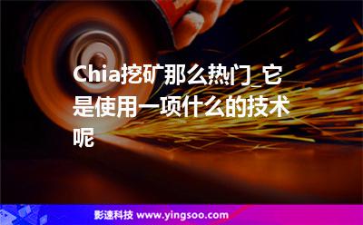 國外網(wǎng)站空間_Chia挖礦那么熱門_它是使用一項什么的技術呢  國外網(wǎng)站空間