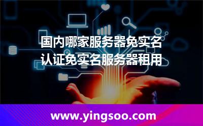 國(guó)內(nèi)哪家服務(wù)器免實(shí)名認(rèn)證免實(shí)名服務(wù)器租用
