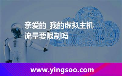 虛擬主機(jī)流量_親愛(ài)的_我的虛擬主機(jī)流量要限制嗎  虛擬主機(jī)流量