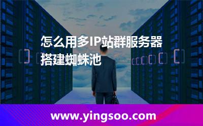 怎么用多IP站群服務(wù)器搭建蜘蛛池