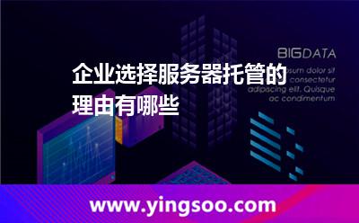 企業(yè)選擇服務(wù)器托管的理由有哪些 企業(yè)選擇服務(wù)器托管的理由有哪些
