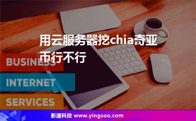 服務(wù)器租用:用云服務(wù)器挖chia奇亞幣行不行? 服務(wù)器租用