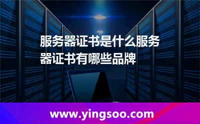 服務(wù)器證書(shū)是什么?服務(wù)器證書(shū)有哪些品牌? 服務(wù)器證書(shū)是什么?服務(wù)器證書(shū)有哪些品牌?