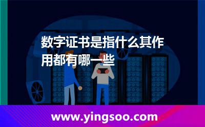 信息數(shù)字證書