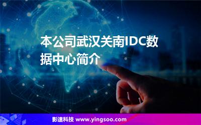 本公司武漢關(guān)南IDC數(shù)據(jù)中心簡介