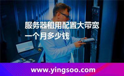 帶寬服務(wù)器_服務(wù)器租用配置大帶寬一個(gè)月多少錢  帶寬服務(wù)器