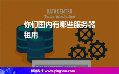 你們國內(nèi)有哪些服務(wù)器租用 你們國內(nèi)有哪些服務(wù)器租用
