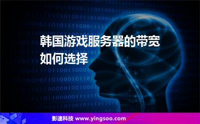 韓國(guó)游戲服務(wù)器的帶寬如何選擇 韓國(guó)游戲服務(wù)器的帶寬如何選擇
