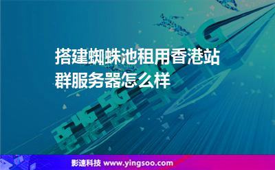 搭建蜘蛛池租用香港站群服務(wù)器怎么樣 搭建蜘蛛池租用香港站群服務(wù)器怎么樣