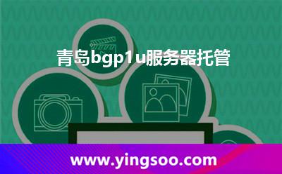青島bgp1u服務(wù)器托管 青島bgp1u服務(wù)器托管