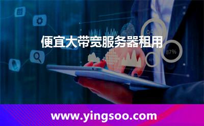 租用帶寬_便宜大帶寬服務(wù)器租用 租用帶寬