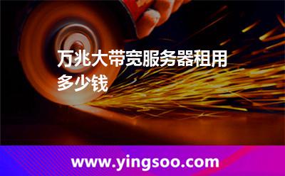 租用獨(dú)享_萬兆大帶寬服務(wù)器租用多少錢  租用獨(dú)享