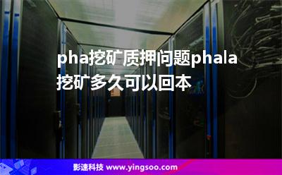 pha挖礦質(zhì)押?jiǎn)栴}，phala挖礦多久可以回本