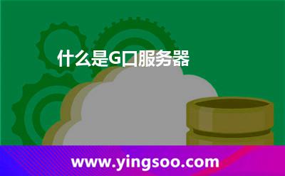 口服服務(wù)器_什么是G口服務(wù)器  口服服務(wù)器