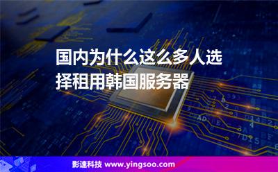 國內(nèi)為什么這么多人選擇租用韓國服務(wù)器