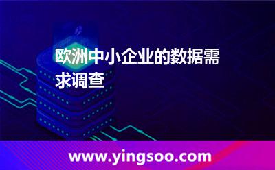 歐洲中小企業(yè)的數(shù)據(jù)需求調(diào)查 歐洲中小企業(yè)的數(shù)據(jù)需求調(diào)查