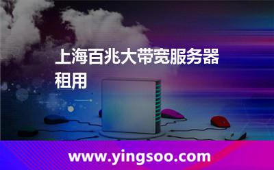 帶寬服務器_上海百兆大帶寬服務器租用  帶寬服務器