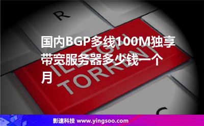 國內(nèi)BGP多線100M獨享帶寬服務(wù)器多少錢一個月 國內(nèi)BGP多線100M獨享帶寬服務(wù)器多少錢一個月