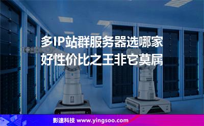 服務(wù)器美國(guó):多IP站群服務(wù)器選哪家好性?xún)r(jià)比之王非它莫屬 服務(wù)器美國(guó)