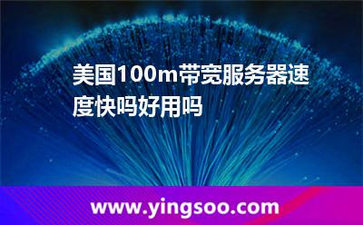 美國100m帶寬服務器速度快嗎，好用嗎