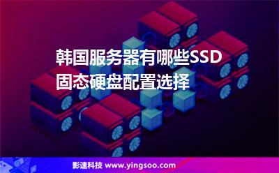 韓國(guó)服務(wù)器有哪些SSD固態(tài)硬盤配置選擇 韓國(guó)服務(wù)器有哪些SSD固態(tài)硬盤配置選擇